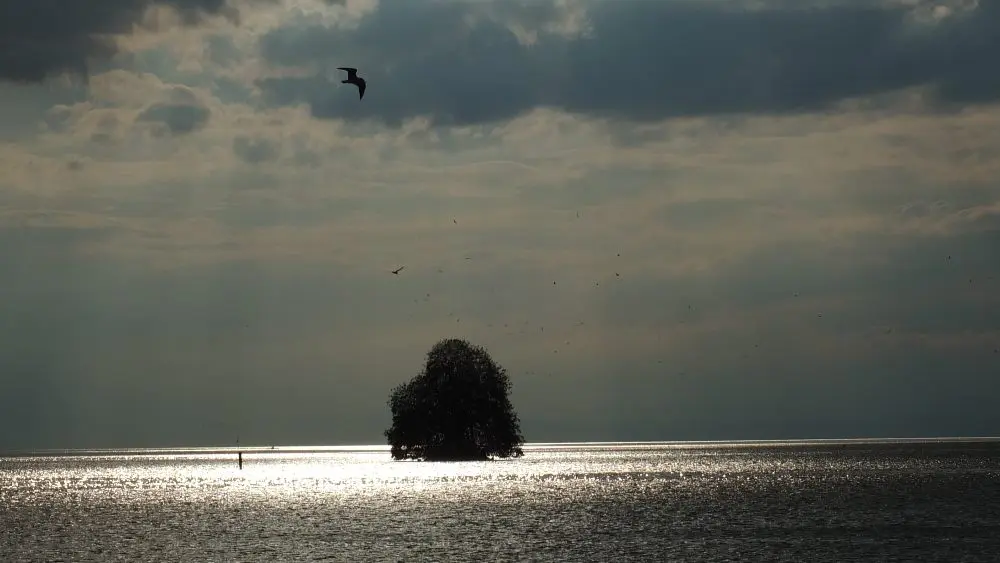 Questions de conscience